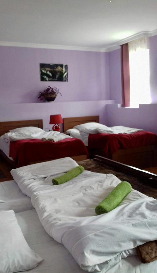 Nino Khetaguri Guest House Kazbegi Eksteriør bilde